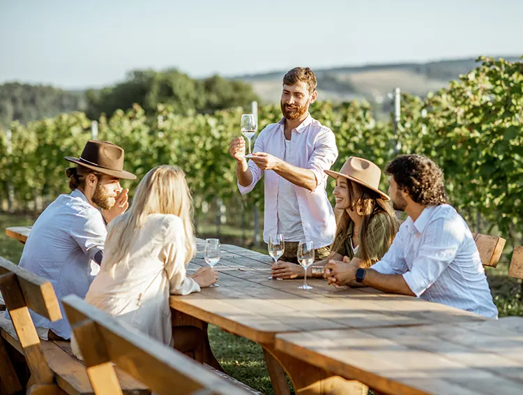 VISITES VIGNOBLES